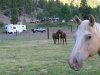 Vickers Ranch Workamping RV Site Accomodations