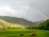 Rainbow over Vickers Ranch Horse Pasture