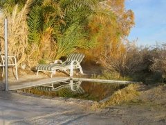 Wild Tub Hot Spring Tecopah, CA