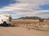 Basin and Range BLM Monument, Nevada