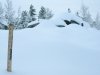 Snow Drift at Jerry\'s Acres