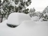 Snow Drift at Jerry's Acres
