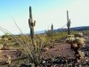 Ramsey Mine Road, Brenda, AZ