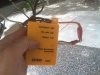 Tracing Trailer Brake Ground Short with Toner