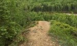 Tumbler Ridge Trail Run