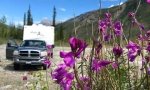 Free Boondocking along Petersen Creek in BC, Canada