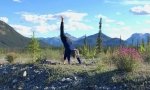 Northern Rocky Mountain Yoga Pose, Petersen Creek BC