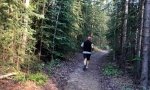Haines Junction, Yukon Forest Run