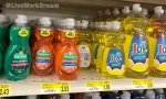 Haines Alaska Shopping, Found Small Dish Soap!