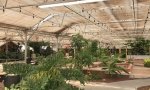 The Greehouse Adult Tubs at Sand Dunes Hot Springs