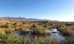 Niland California Hot Springs near FOY
