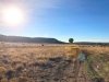 Balloon over Sedona Boondocking Spot