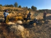 Camping World video shoot with IAMVideo in Sedona, AZ