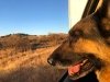 Wyatt out window in Sedona, Arizona