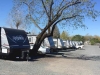 FEMA trailers at Santa Rosa Fairgrounds