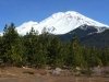 Free Boondocking near Mount Shasta, California