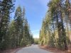 Mt Shasta Ski Park Road