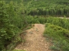 Tumbler Ridge Trail Run