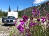 Free Boondocking along Petersen Creek in BC, Canada