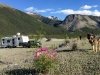 Free Boondocking along Petersen Creek in BC, Canada
