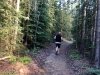 Haines Junction, Yukon Forest Run