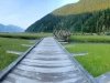 Estuary Boardwalk, Stewart British Columbia