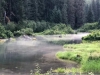 Fish Creek Bear Observation Deck, Hyder Alaska