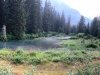 Fish Creek Bear Observation Deck, Hyder Alaska