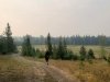 Prince George Cranbrook Greenway Running Trail
