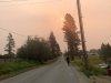 Smoky Skies Running in Sand Point Idaho