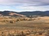 Hot Springs, Montana from H Hill