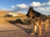 Wyatt Boondocking at Sinclair, Wyoming