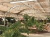 The Greehouse Adult Tubs at Sand Dunes Hot Springs