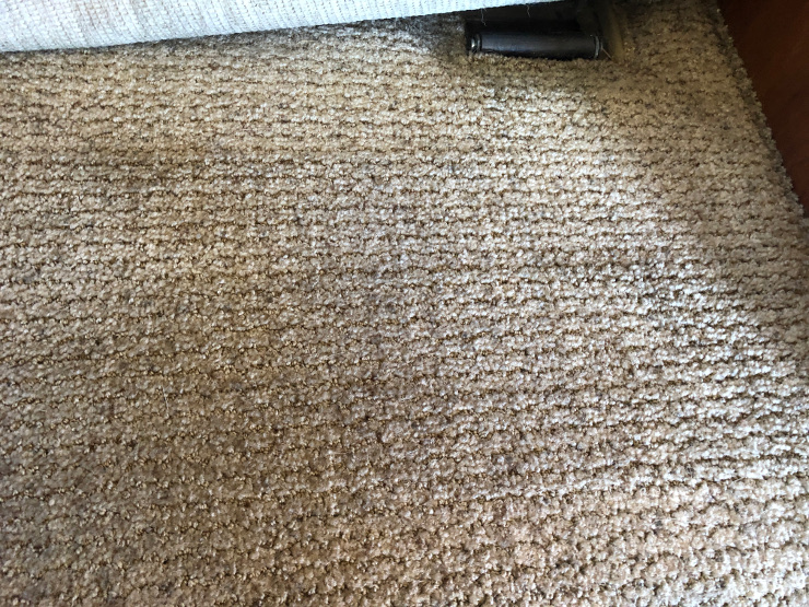 deep cleaning RV carpets