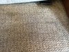 Clean RV carpets