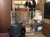We love our RVing dog