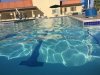 Fountain of Youth Swimming Pool
