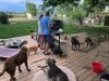 Fort Collins Boondocking