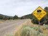 Great Basin National Park Steep Grade Sign