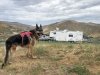 Boise Idaho Boondocking