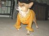 Sedona models knitted sweater