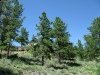 Dream Mountain Property Acreage View