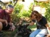 Meeting Our New Tripawd