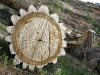 Old Tree Felled Near Dewey Bridge Utah