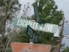 Escapees Drive