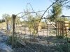 Slab City Homestead Security