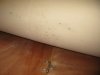 RV Mattrress Memory Foam Milew