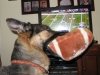 Wyatt Puppy Bowl Party