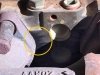 Exhaust Manifold Leak