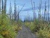 Windsock Trail